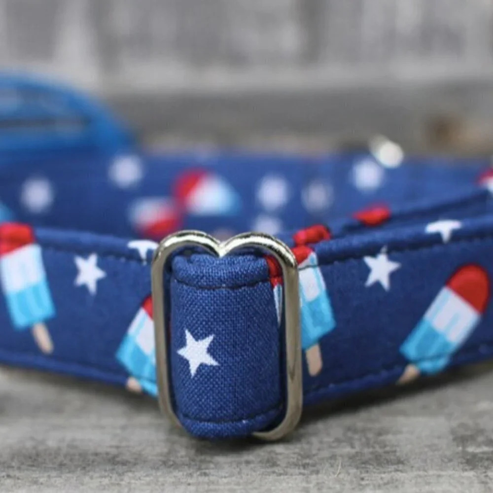 4th of July | Dog Collar | Medium